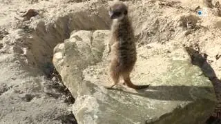 Le zoo de Lille rouvre ses portes !