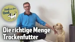 Rund um den Hund: Was ist die richtige Futtermenge?