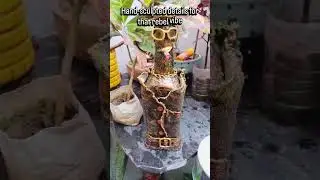 From Trash to TRENDY! 🕶️ Upcycled Bottle Art #shorts