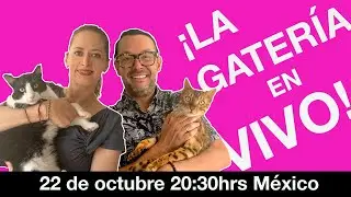 &iexcl;LA GATER&Iacute;A EN VIVO!