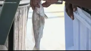 Vilano Beach Pier serves up life lessons for the fishermen who visit it