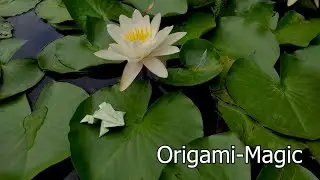 Jumping Green Origami Frog Tutorial | Fast, Easy & Fun