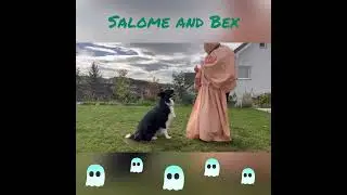 Bex des Rives de Haute-Sorne - Int. Trick Dog Competition 2023 - Task 2