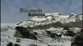 Bisaurin