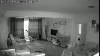 CCTV footage captures moment earthquake hits Xinjiang, China