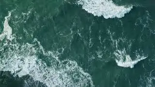 Secrets of the Shoreline
