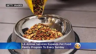 LA Animal Services Expands Pet Food Pantry Program To Every Sunday