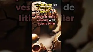 S&iacute;ntomas de Piedras en la Ves&iacute;cula