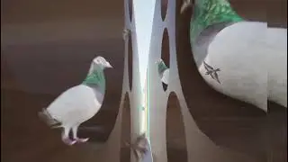 refunc