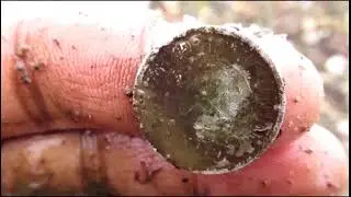 Коп на жёсткой мусорке с Tesoro Compadre часть вторая.