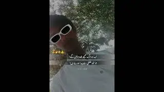 1Bview