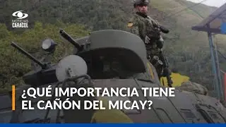 ¿Cómo avanza la Operación Perseo en Argelia, Cauca?
