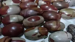 Narmadeshwar Shivling/om shivling/Shiva Shivalingam/Narmada Stone Shivling +919617637671
