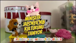 Minişler Japonya&rsquo;da