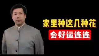 家里种这几种花 会好运连连