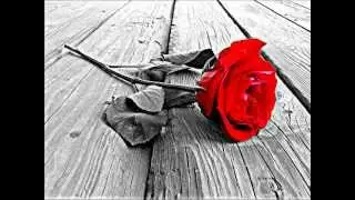The Reddest Rose- An Original Song