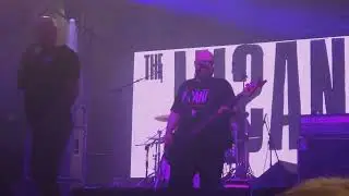 The Insane 