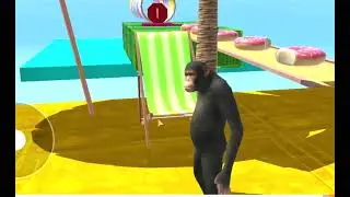monkey and horse race riding