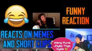 Wiffeyy REACTS ON MEMES & SHORT CLIPS 🤩 || Wiffeyy FUNNY REACTION 😂 || PUBGM NEPAL - GAURABYT ||