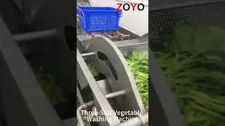 Three Slot Spinach Vegetable Washing Machine with Water-Spray and Filtering
