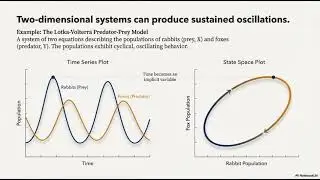 Cognitive and behavioral attractors: dynamical systems theory as a lens for systems neuroscience