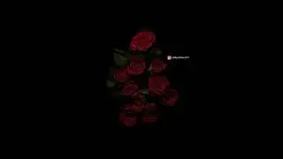 Rose day poetry #roseday #valentine #poem