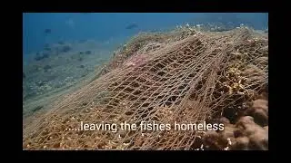 Protect the Reef