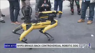 RoboCop? No, RoboDog: Robotic dog rejoins New York police