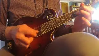 Cottage in the Grove, Reel. Mandolin