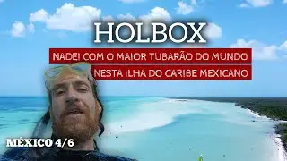 Holbox México (4/6) - Como chegar, o que fazer e como é o mergulho com o tubarão baleia (c/ preços).