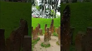 Beautiful Tezpur's Chitralekha Udyan !! Cole Park #nature #tezpurassam #4knature #naturepark #shorts