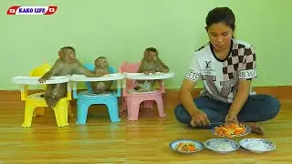 Cuties Little Kako Luna And Olly Have Lunch Routine