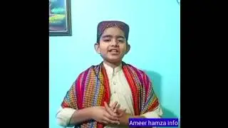 Ameer hamza info