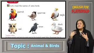 **English 3+ Kids Learning | Animals and Birds | Parents Guide**