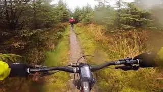KIELDER FOREST LONESOME PINE TRAIL