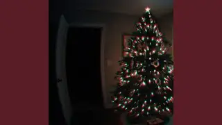 The Night the Snow Stopped Falling