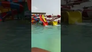 Shark water world 🤣🤣