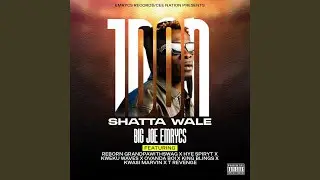 1Don (SHATTA WALE) (feat. Hye Spiryt, Kweku Waves, Ovanda Boi, Cee Nation, T-Revenge & Reborn...
