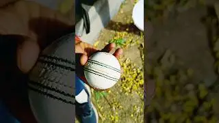 SG cricket white ball  🏀 unboxing | sg white cricket ball  | #cricket #ball #youtubeshorts #viral