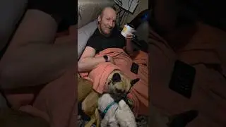 Coffee and dog snuggles in a 20ft Rv. #rvlife #travel #rvlifestyle #dogs #dogshorts #tinyrv