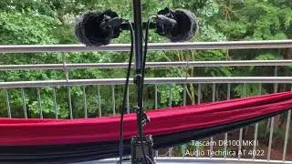 Field Recording / Soundscapes / Tascam DR100 MKIII / AT 4022 / Jecklin Disk