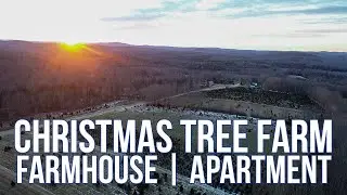 Christmas Tree Farm For Sale | Maine Real Estate SOLD
