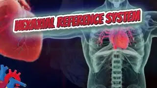 Hexaxial reference system - Human Heart ❤️ and Cardiology ❤️🔊✅