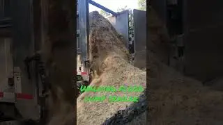 Walking floor trailer dumping sawdust
