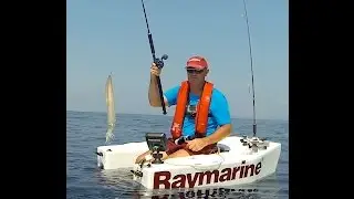 Calamari in Hardbelly boat con il MORVO