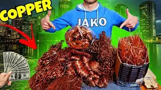 A whole year I accumulated copper, Now I'm rich | All my copper.