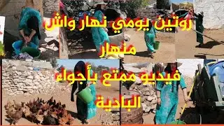 روتين يومي في البادية صبنت بفراكة وكلت دجاج طيبت خبز