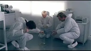 Dodo madness - part 2 (2007)