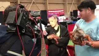 Pooch-o on KUSI News