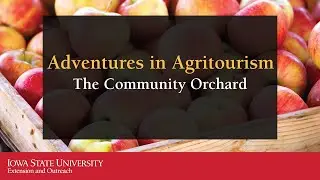 Adventures in Agritourism: The Community Orchard